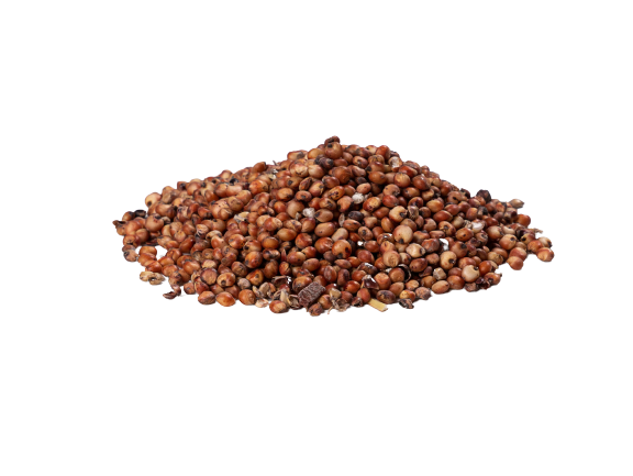 Red Sorghum 1kg Lunker - Fish On Tackle Store