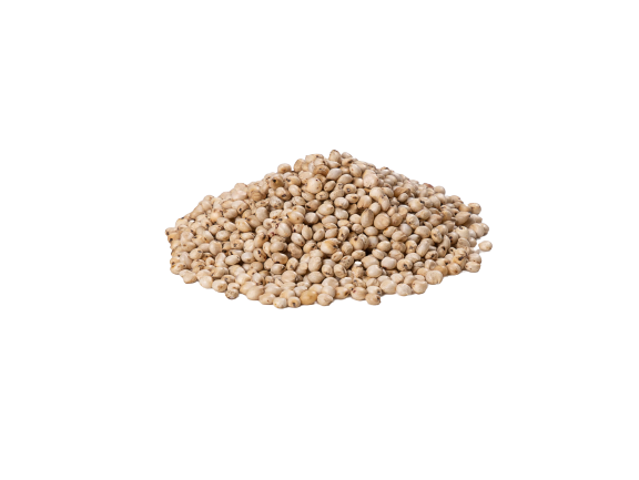 White Sorghum 1kg Lunker - Fish On Tackle Store