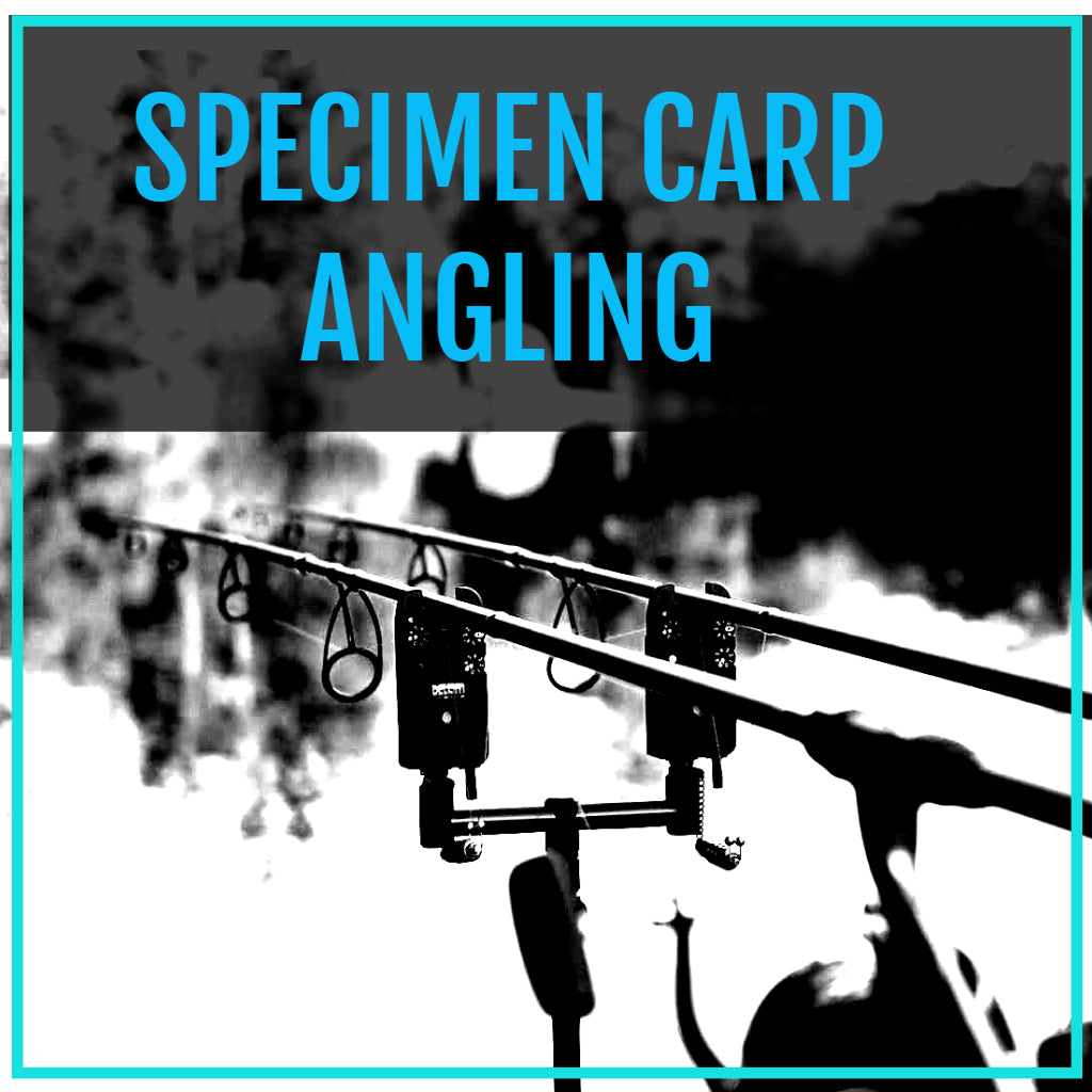 Specimen Carp Angling– Fish On Tackle Store