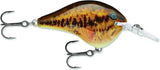 Rapala Dive To Crank DT10 - Fish On Tackle Store