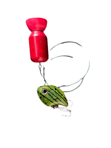 Catfish Popper Rig Standard - Fish On Tackle Store